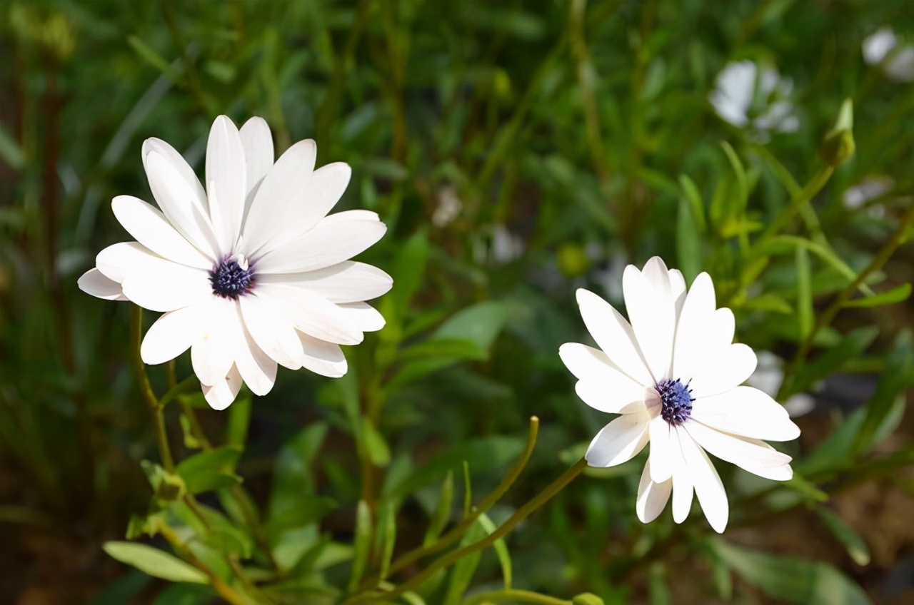 大肠腿在这里|人与人之间，即是一份缘！