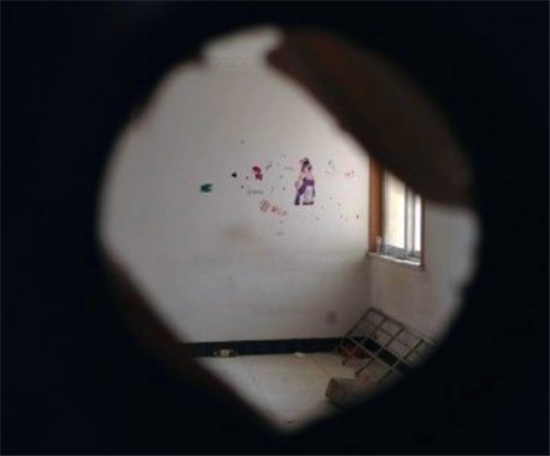 2013年南京饿死女童案:女子为出去吸毒,将俩亲生女儿锁家中饿死