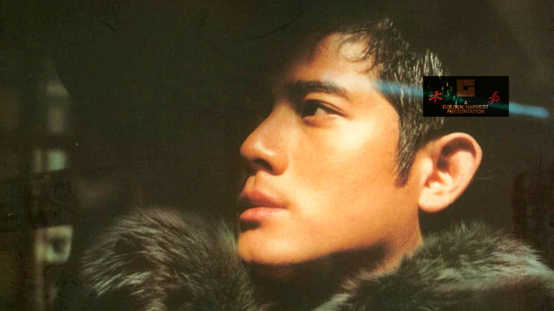 郭富城|港影:舞王的“歧路”,第三代功夫巨星的幻影,与新世纪初的低谷