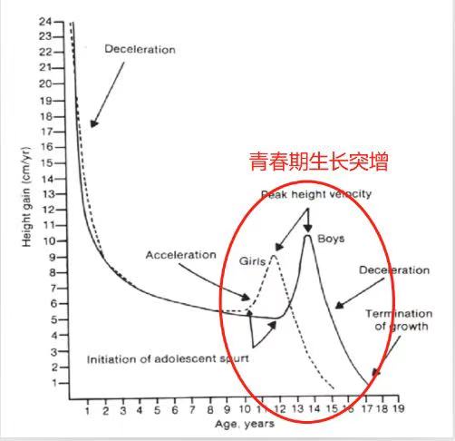 布谷妈妈|女生初潮后停止长个？初潮不能早于这个年龄，否则注定长不高