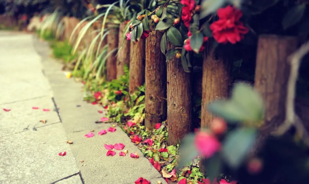 玄何风水|与初恋再次相遇，难道还是有缘无份？