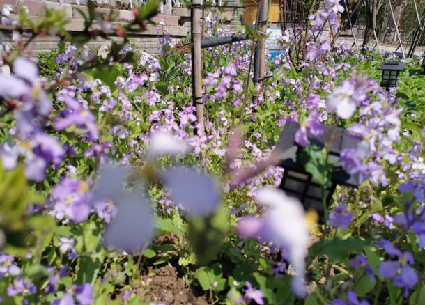 |对四十岁女同事有好感，我该如何处理这种感情？