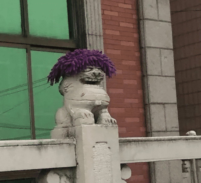  “北大石狮子被人偷袭砍成重伤！到底是何人所为？”