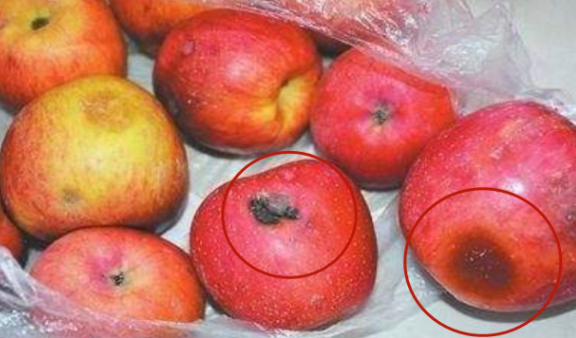 运动|卫生组织声明:停止食用1种水果,它正在“掏空”你的甲状腺,趁早扔