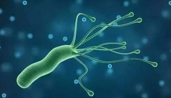 今天更健康了吗|孩子容易感染幽门螺杆菌吗？消化科医生：感染有3个表现