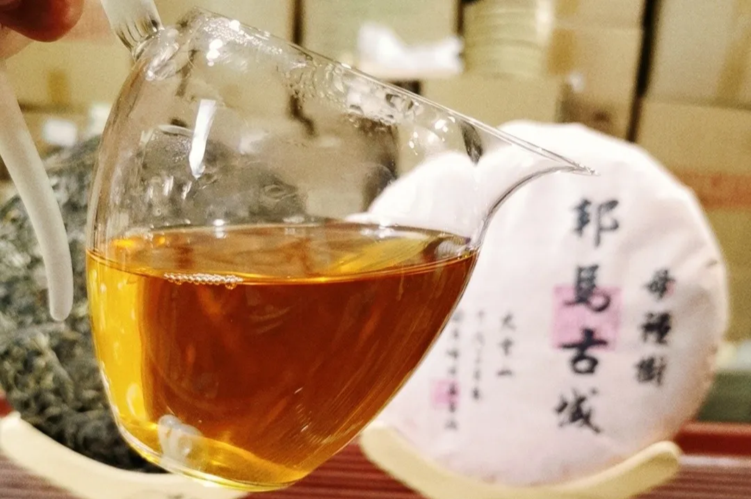 小颂茶话 老茶品鉴   最好喝的普洱老茶,一定绕不过这几款!