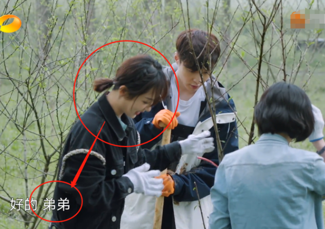 杨紫|不叫“妹妹”，也不叫“杨紫”，张艺兴的叫法差点吓退了当事人