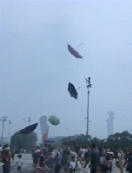 |这里钓鱼也太简单了，就是钓出来的鱼味道都有点怪