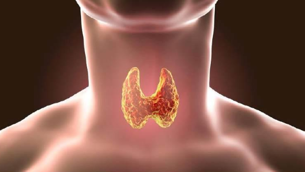 医生|吃一次等于10袋盐，很多人戒不掉，医生怒斥：无知，都是自毁甲状腺