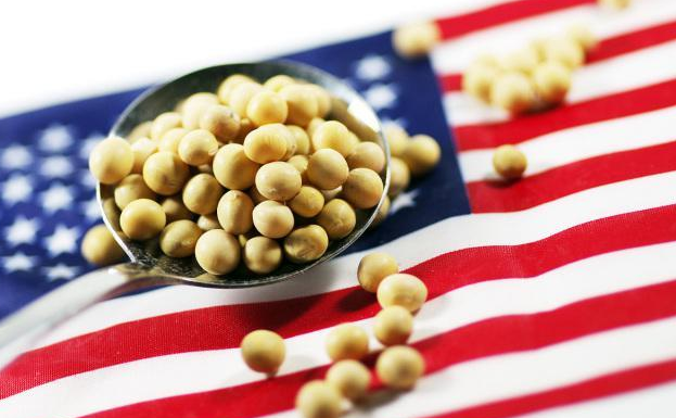 生猪价格 大豆跳水，毛猪“暴跌26%”！玉米却翻身大涨！3月22日粮价、粮价