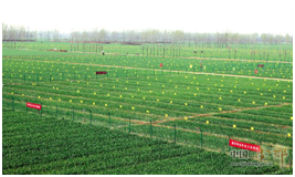 富通城乡院 怎样建设有特色的农业产业园？