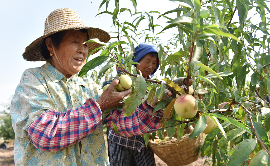 营养价值非常高的一种水果，味道十分可口，你喜欢吃吗