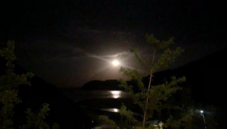 大家庭娱乐 肖战的零散随记全文 肖战的零散随记写了些什么