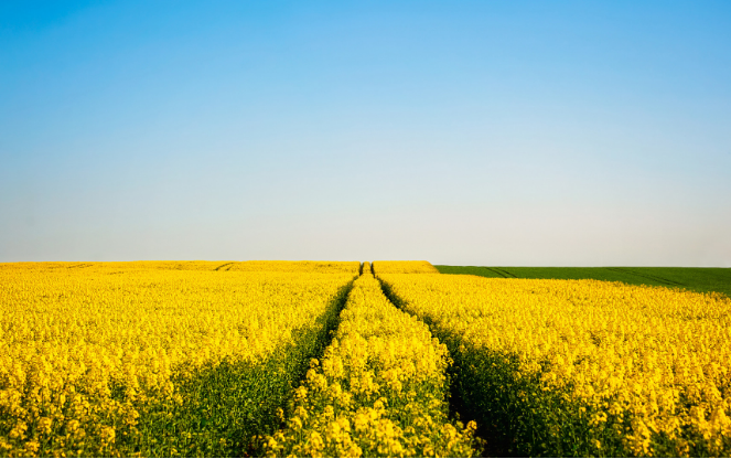 小行星 无论工作是什么,只要是能协助全人类事业发展的,就有存在的意义