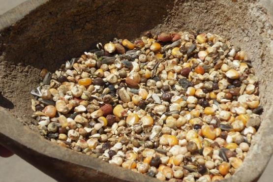 电子烟|?多家医院联合呼吁停止食用，1“粗粮”比烟酒还毁甲状腺，趁早远离