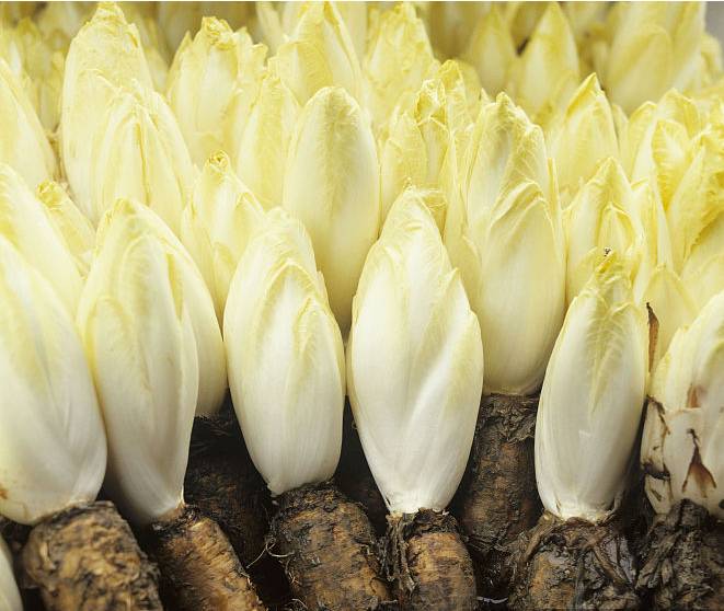 红豆|晨起若有3“迹象”,可能尿酸升高,若做好2个习惯,或能降低尿酸