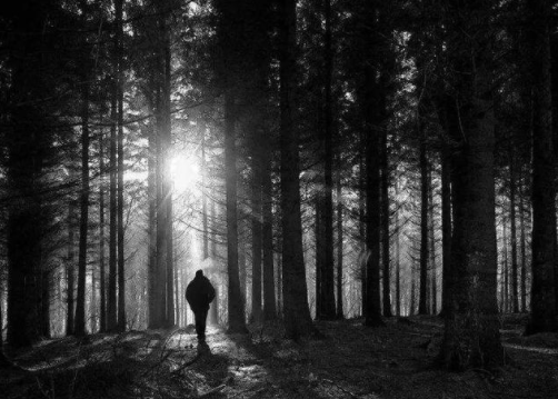 霍金 霍金的三个预言究竟在提醒我们什么？