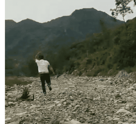 “我发现一个巨型马蜂窝，用石头扔了两下，没想到啊”