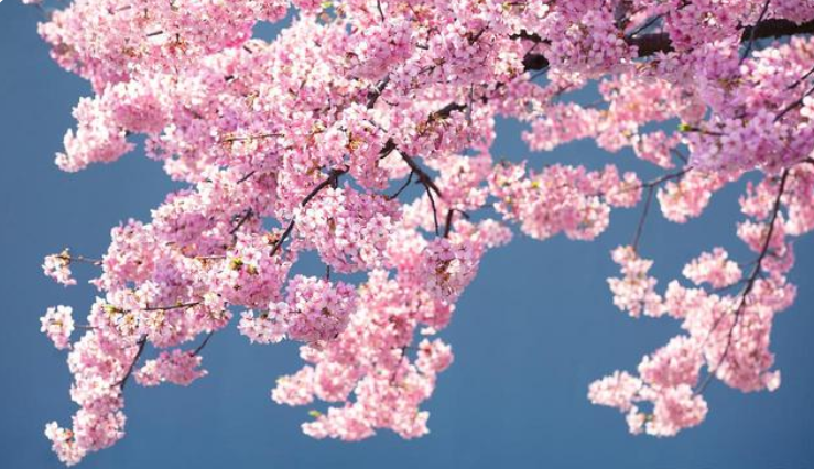 乐乐情感说 所谓：“聚光灯效应”，就是“人贵有自知之明”