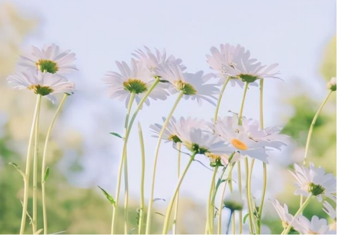星话物语|没有隔夜仇，吵架之后先妥协，主动放下恩怨的星座