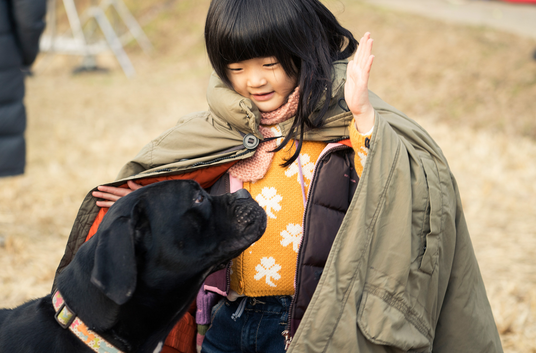 扬名立万|《扬名立万》21天票房破6.43亿，将迎来两大对手，一部是韩国冠军