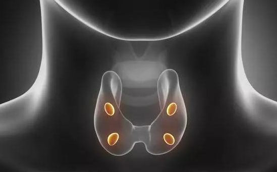 甲状腺|多家医院联合声明：停止食用“1素菜”，小心甲状腺“烂如蜂窝”