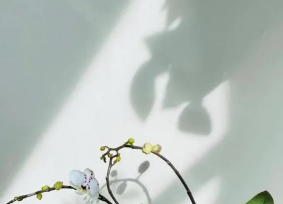 玄风命理|测你何时能够“生育宝宝”呢？