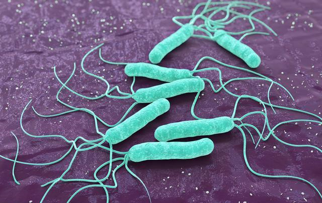 幽门螺杆菌|大蒜萝卜靠边站，它才是“灭菌大王”，平时可劲儿喝，幽门螺杆菌没了