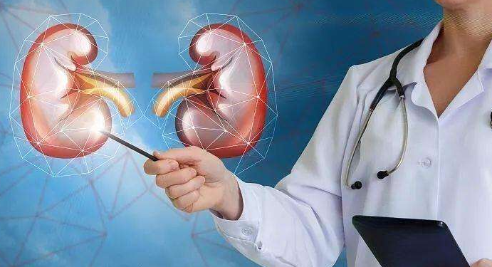 长寿|110岁奶奶留下的“长寿秘方”，每天坚持吃，养肾精防肾衰如此容易