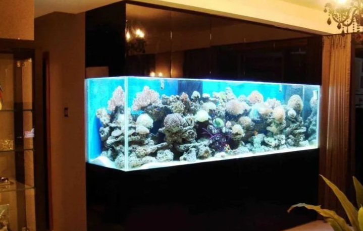 办公室|做生意养鱼风水讲究