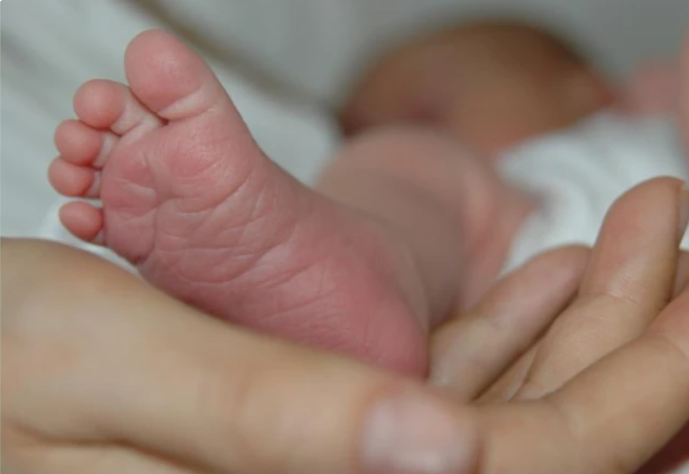 哦吼很棒|孩子智力发育迟缓,医生告知,怀孕时缺铁惹的祸