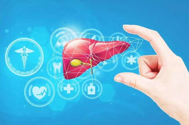 肝脏|解毒的“高手”被发现，不是蒲公英，每天敞开吃，肝脏一天天变强