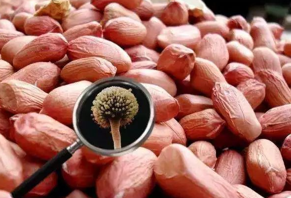 医生|夫妻二人接连查出甲状腺癌，医生怒斥：煮粥爱放1物，甲状腺早晚罢工