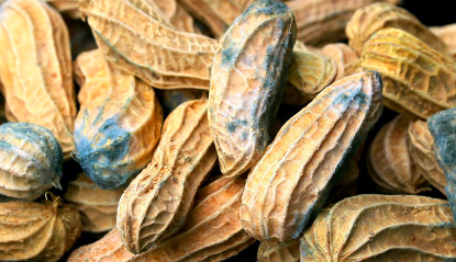 天天听健康 70岁老人患上肝癌，医生告诫：如果吃饭用了这些东西，赶紧扔掉