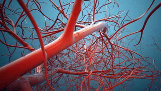 运动|原来这4物是血管“清洁剂”,降压清血脂“一把好手”,爱吃1样你就赚了