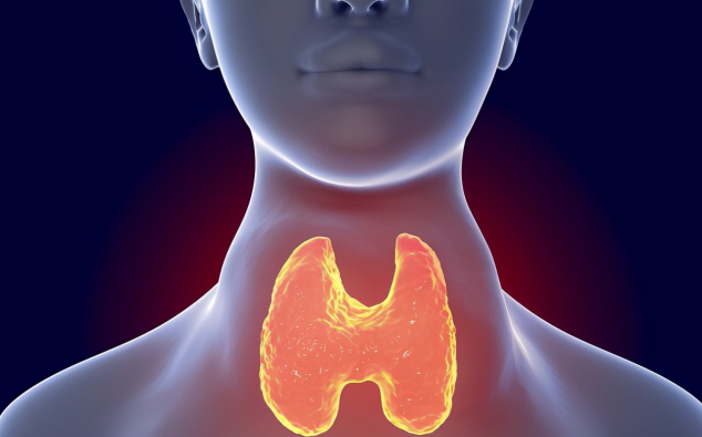 脾胃|卫生组织声明：停止食用“2苦1甜”，不想甲功“报废”，趁早撤下餐桌