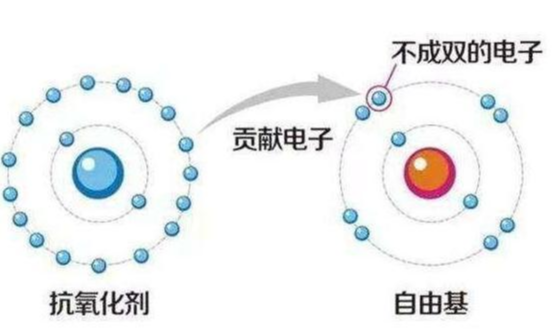 面膜 37岁“精致仙女”黄圣依，面膜不断，素颜状态好
