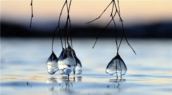 玄何风水|想看看，以后婚姻、生意咋样？