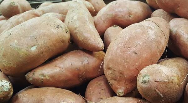 |一天一杯枸杞水,大爷查出甲状腺癌,医生:甲状腺早已烂如“马蜂窝”