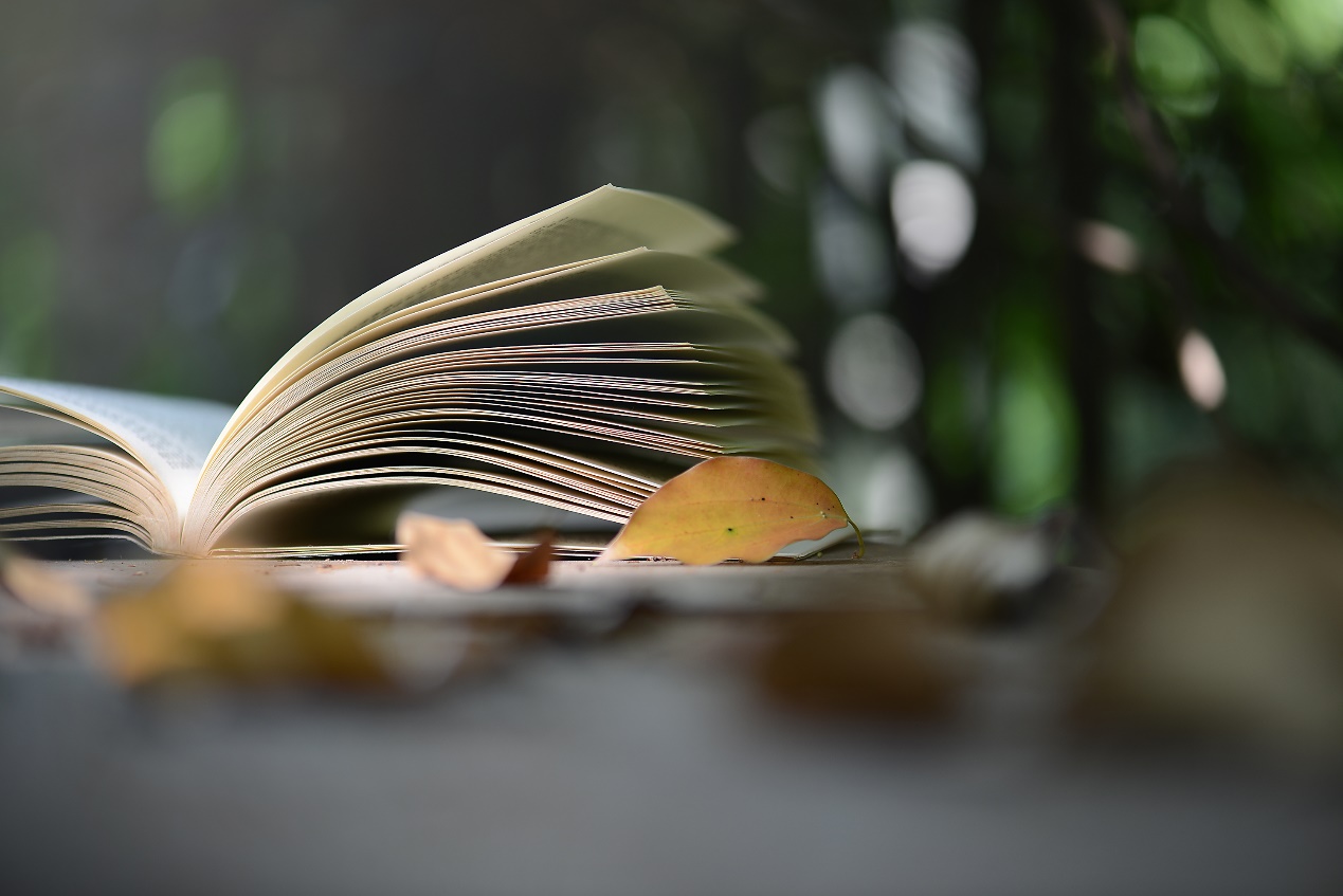 郭靖|读《射雕英雄传》有感：受益一生，这是郭靖最为成功的一次投资