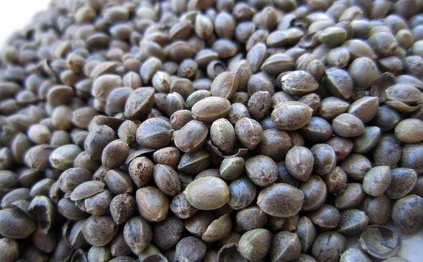 牛奶|牛奶是胃病的“发物”？医生：想远离胃病，“2物”或尽量少吃