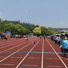 猫|猫:让我想想,最近在减肥,这玩意我能吃吗