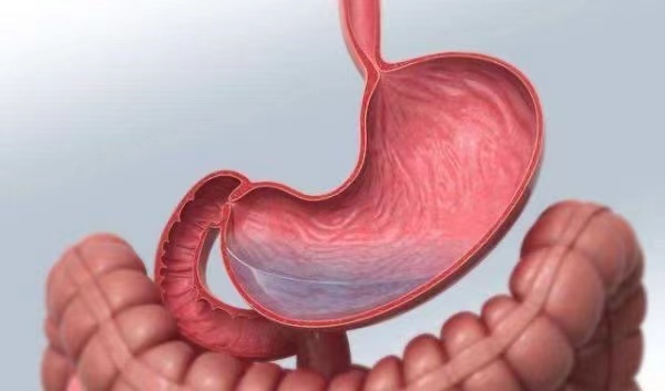 胃黏膜|胃黏膜的“修复器”找到了，消化科主任：每天吃一点，胃或越来越强壮