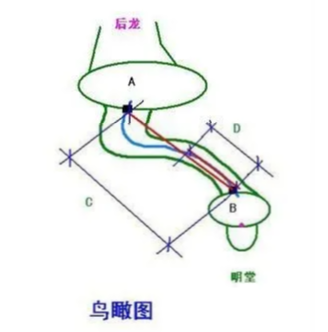穴位|如何确定穴位与父母山的关系
