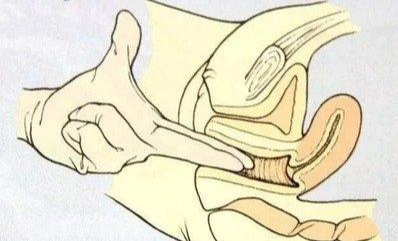 翟文利说育儿|你们觉得产检最难过的项目是哪些？