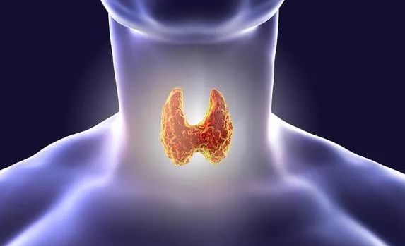 甲状腺结节|81岁退休院士：停止食用1种食物，它正在“偷偷毁掉”你的甲状腺