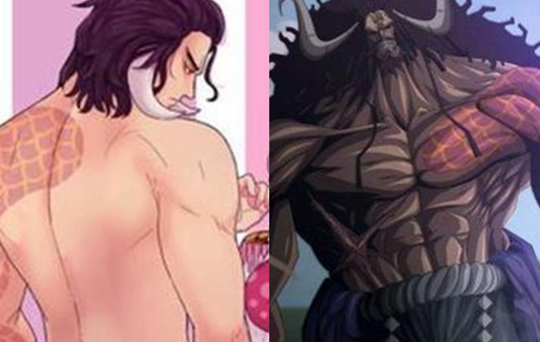 海贼王|海贼王：盘点六位四皇年轻与成名后的变化，凯多和大妈是怎么了？