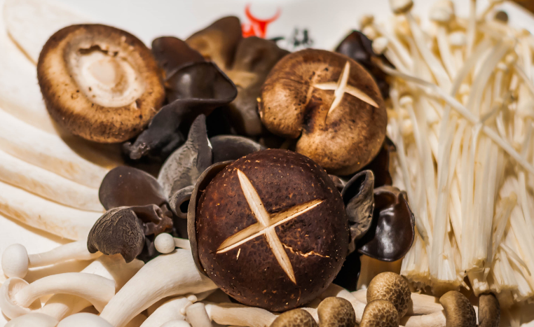 枸杞|一天一杯枸杞水,28岁小伙肾衰竭离世,医生怒斥:肾早已“烂成渣”