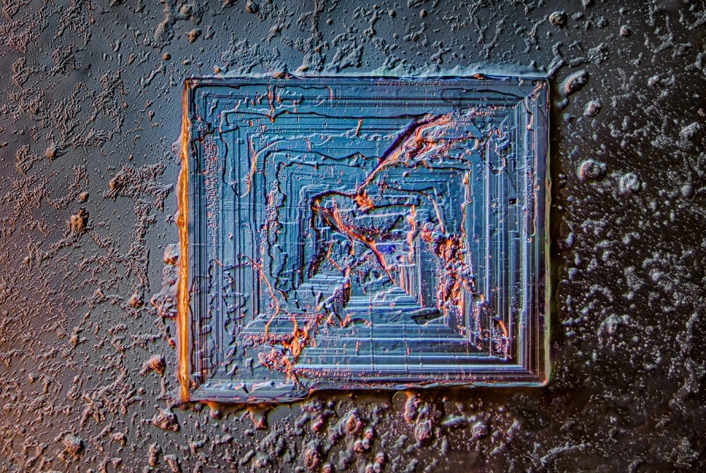 超级震撼的微观摄影作品——2021尼康小世界摄影作品