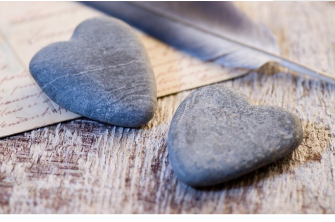 昆虫 生命却是活着的，生命的传承与发展，意味着无限的可能